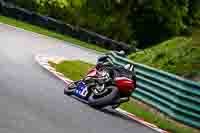 cadwell-no-limits-trackday;cadwell-park;cadwell-park-photographs;cadwell-trackday-photographs;enduro-digital-images;event-digital-images;eventdigitalimages;no-limits-trackdays;peter-wileman-photography;racing-digital-images;trackday-digital-images;trackday-photos